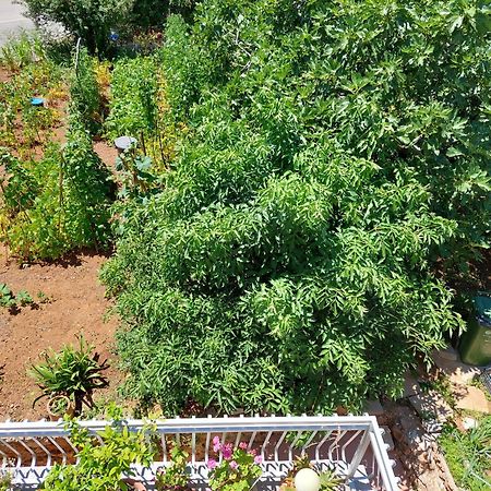 Apartmani Toni ヴォディツェ エクステリア 写真